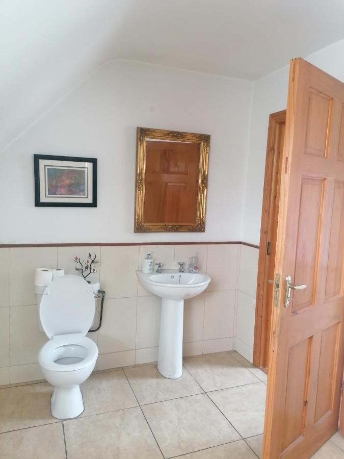 Appartement Justosleep à Kilkenny Extérieur photo